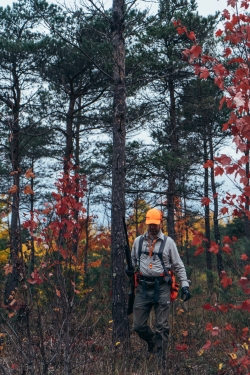 Pheasant Hunting-1-2