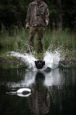 Soggy Dog 2020-31